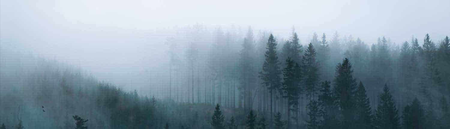 Yogales met Janneke Yogales met Janneke