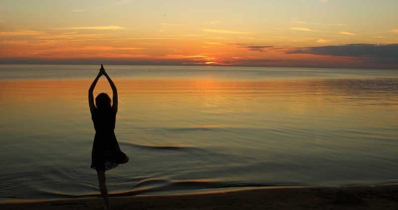 Yogales volwassenen Janneke Lourens