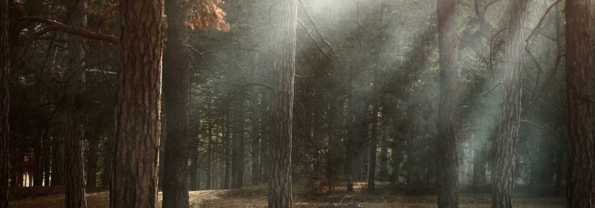 Yoga met Janneke Yoga met Janneke