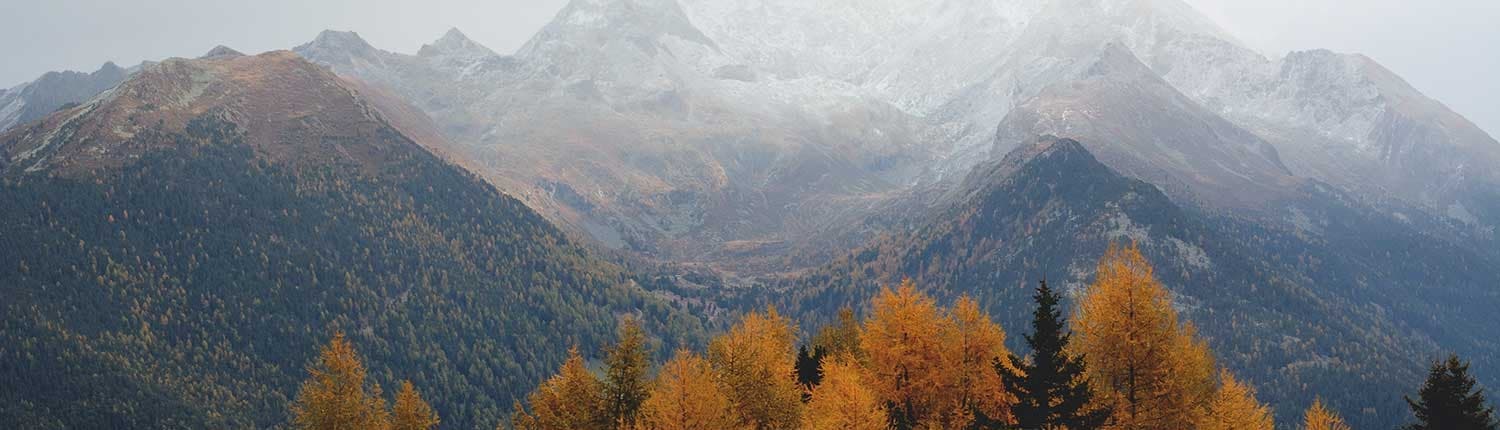 Yoga met Janneke Lourens