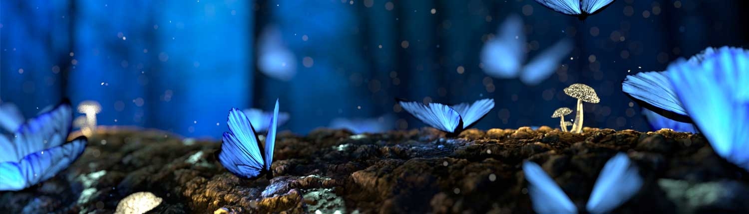 Yoga voor kinderen Yoga voor kinderen