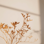 Rest Retreat Afferden